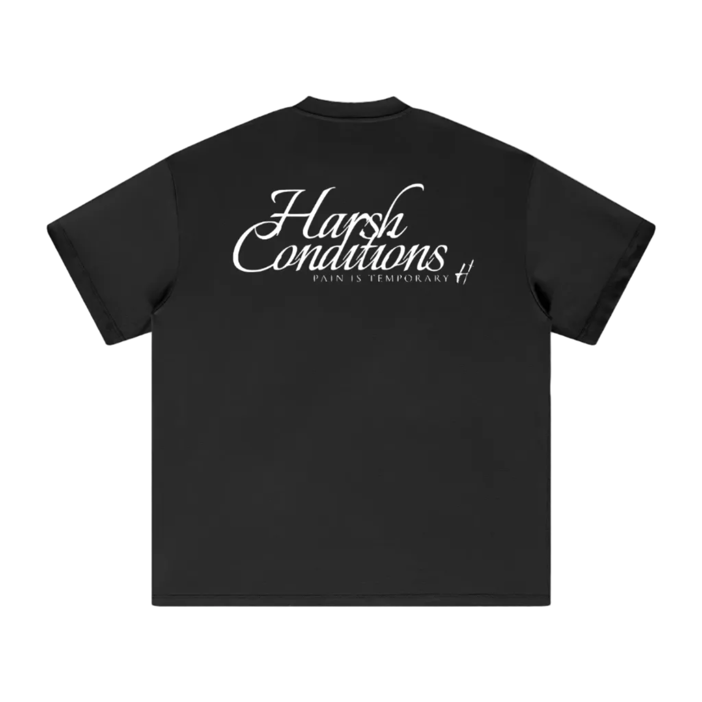 Heavyweight oversized T-Shirt