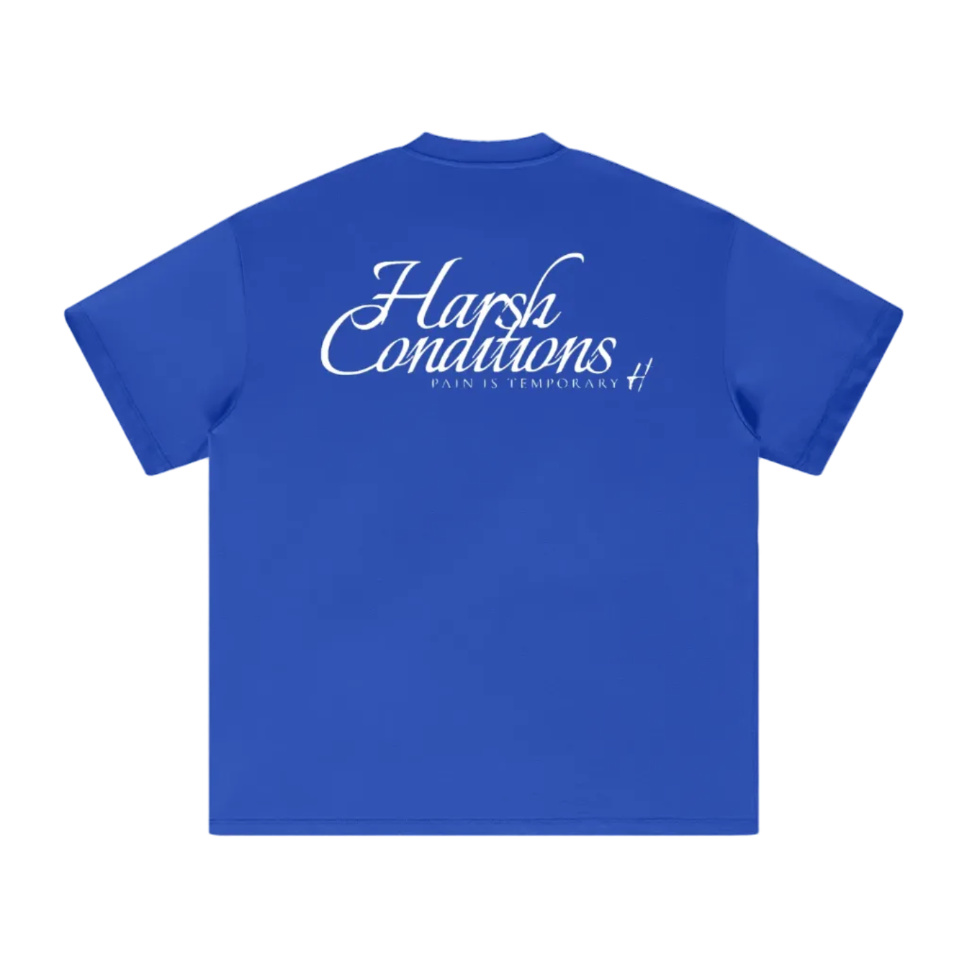 Heavyweight oversized T-Shirt